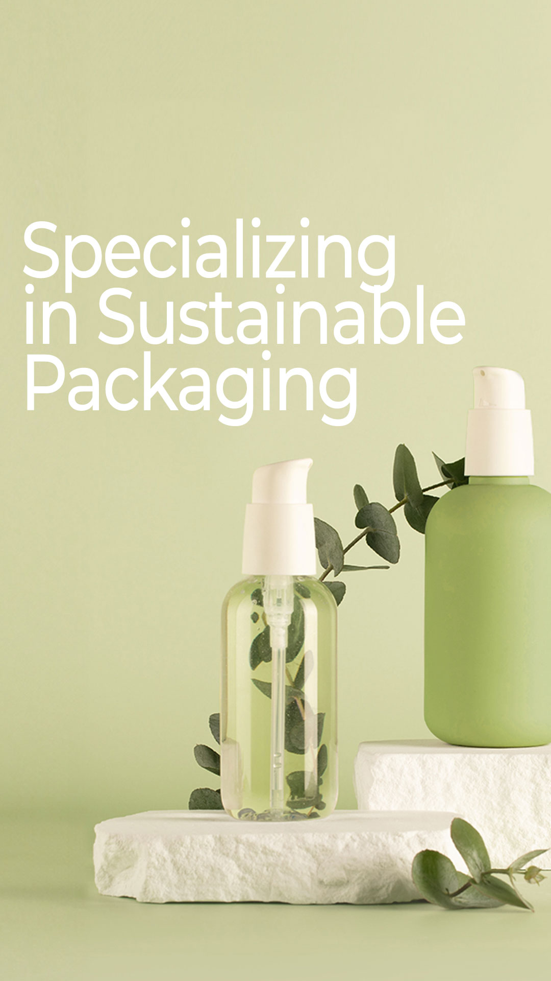 Specializing-in-Sustainable-Packaging---Mobilev2