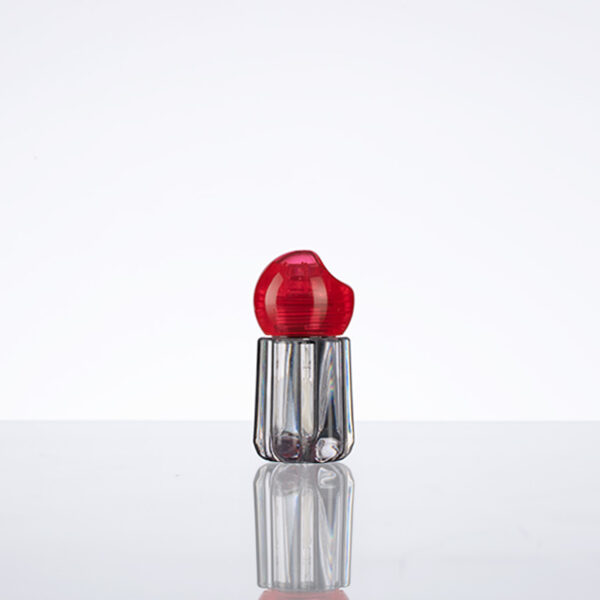ICONS-ICS-Lip-12